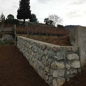 Mur de vigne en Pierres de Fayaux